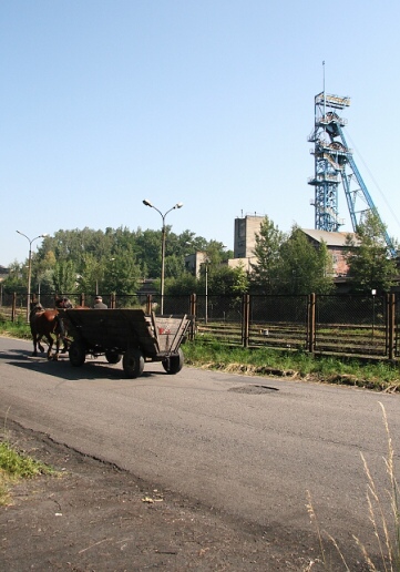 Ko�sk� potah je tu st�le samoz�ejmost�