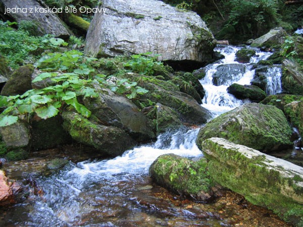 Z n�v�t�vy B�l� Opavy v Jesen�k�ch