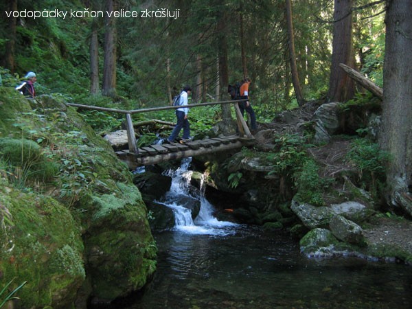 Z n�v�t�vy Jesen�k�