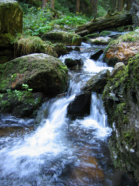 Z n�v�t�vy Jesen�k�