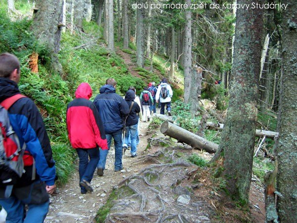 Z n�v�t�vy Jesen�k�