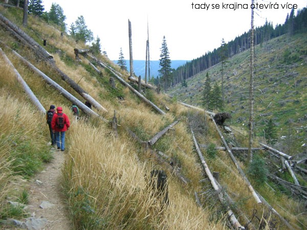 Z n�v�t�vy Jesen�k�