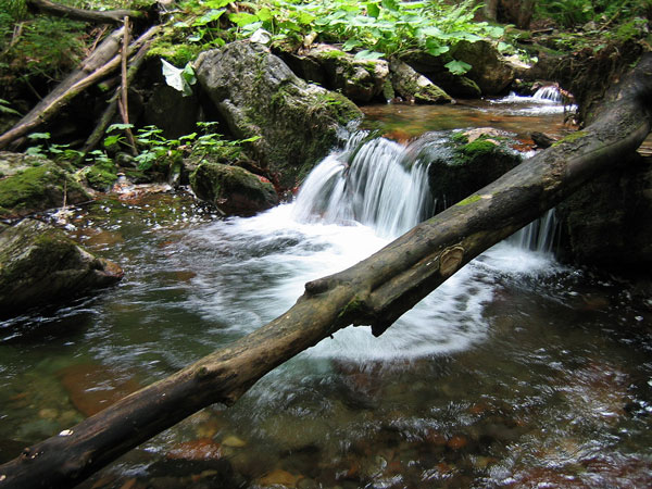 Z n�v�t�vy Jesen�k�