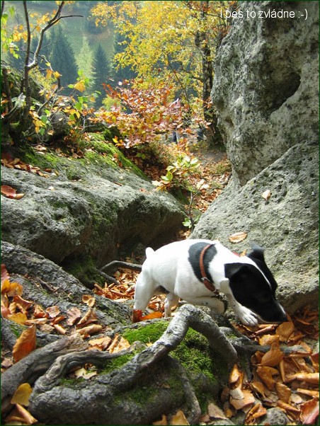 Vset�nsko m� co nab�dnout k turistice!