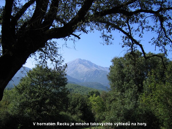 Miroslav Szlauer projel �ecko na kole