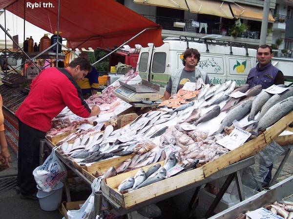 Miroslav Szlauer projel �ecko na kole