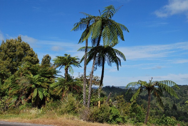 Z cykloputov�n� a turistiky po Nov�m Z�landu