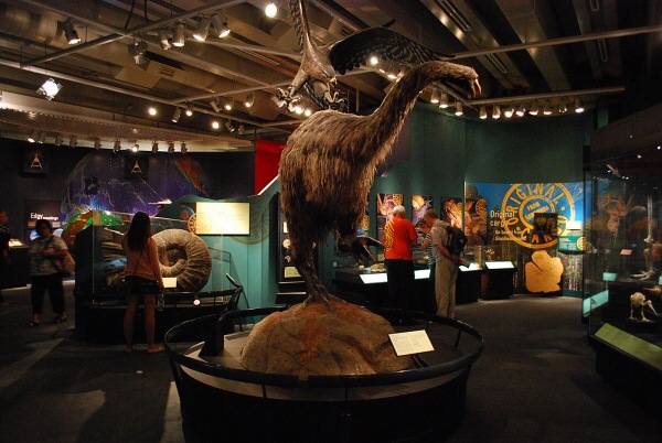 Z cykloputov�n� a turistiky po Nov�m Z�landu