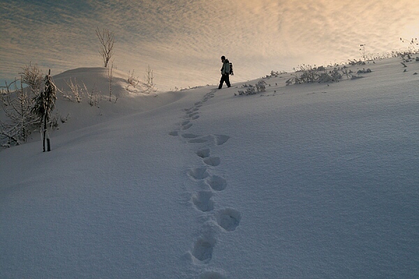 Rendy jde jako prvn�