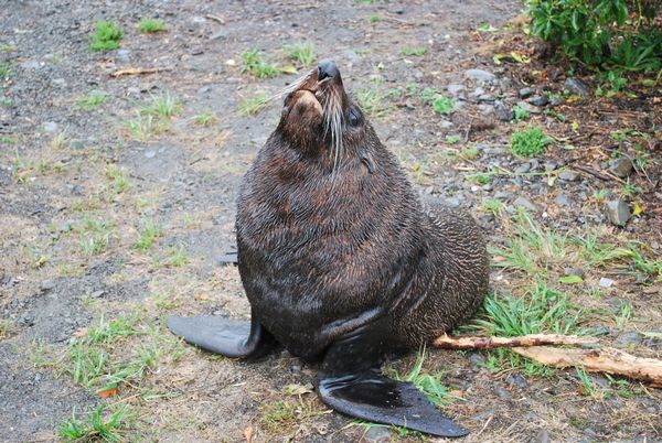 Nov� Z�land je kr�sn� zem�