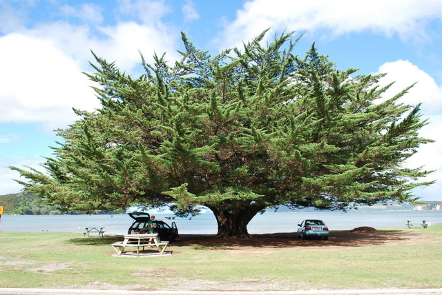 Voln� pokra�ov�n� fotografi� z Nov�ho Z�landu