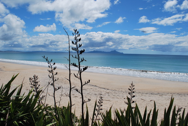 Voln� pokra�ov�n� fotografi� z Nov�ho Z�landu