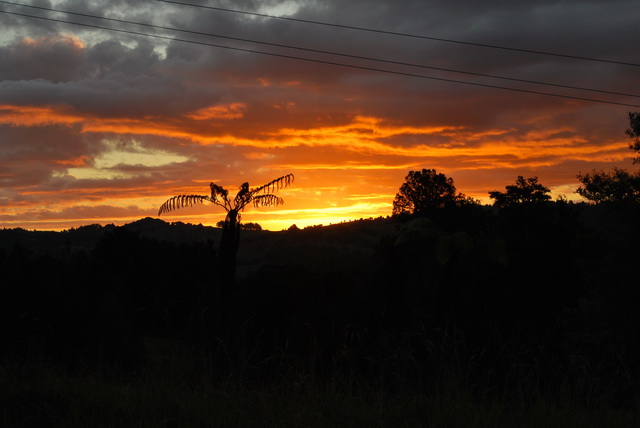 Voln� pokra�ov�n� fotografi� z Nov�ho Z�landu