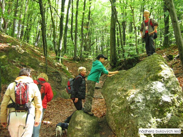 V��lap na S�lov