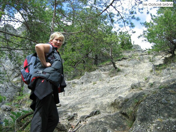 V��lap na S�lov