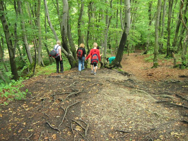 V��lap na S�lov