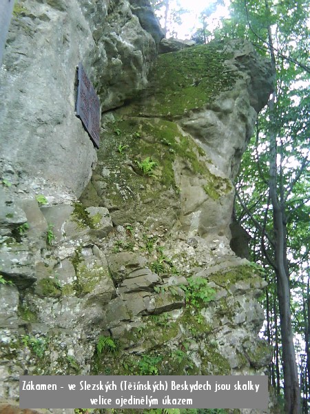 Ilustra�n� sn�mky k v�stupu