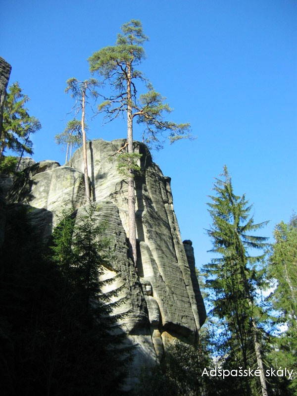 Tyto sk�ly stoj� za prohl�dku!