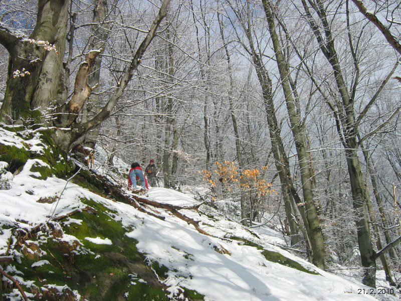 Zimn� Pul��nsk� sk�ly