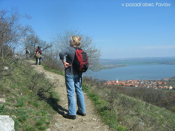 Kr�sy ji�n� Moravy