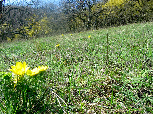 Kr�sy ji�n� Moravy