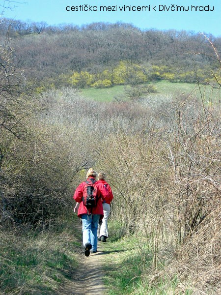 Kr�sy ji�n� Moravy