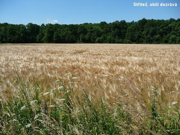 Cyklov�let do pivovaru