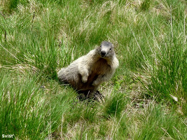 Tady budou sn�mky , kter� po��dili Palo s Er�ou