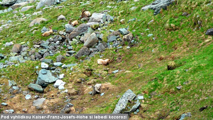 Tady budou sn�mky , kter� po��dili Palo s Er�ou