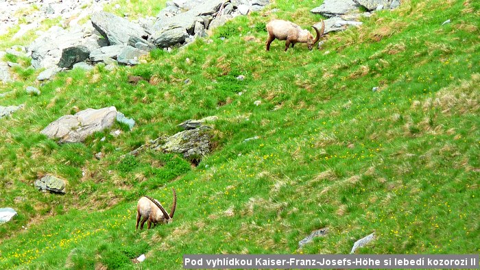 Tady budou sn�mky , kter� po��dili Palo s Er�ou