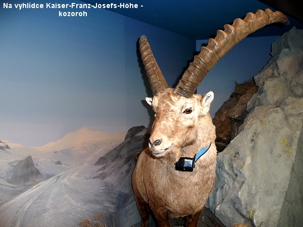 Tady budou sn�mky , kter� po��dili Palo s Er�ou