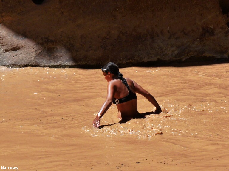 dal�� putov�n�