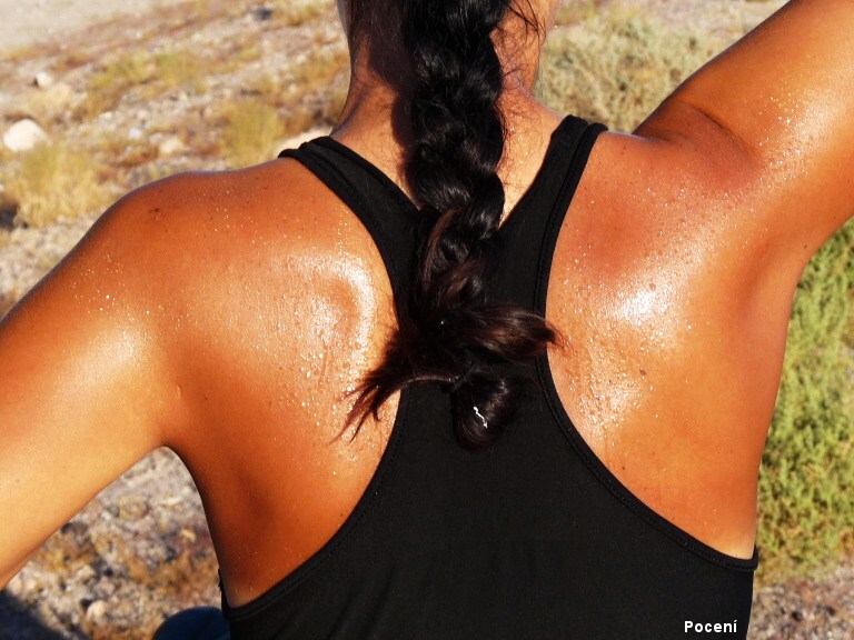 dal�� putov�n�