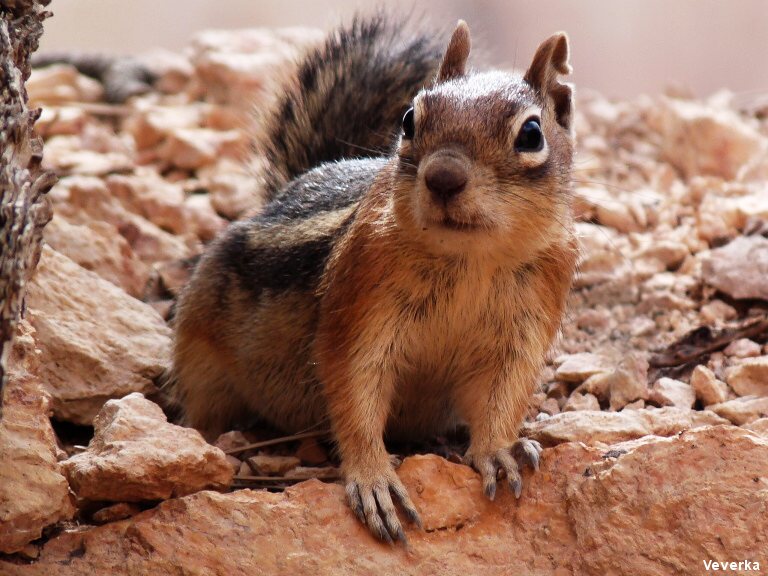 dal�� putov�n�