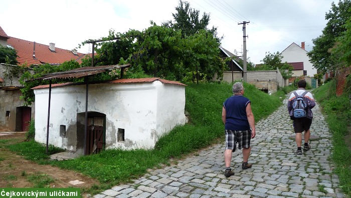 Krajem v�na kolem �ejkovic a Brna