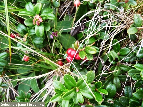 Chladn� v�kend na Slovensku