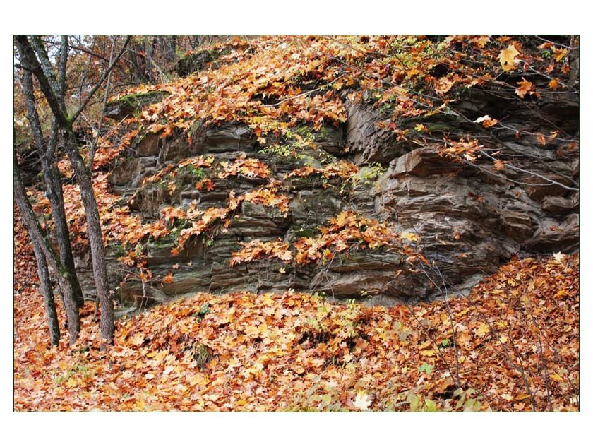 Podzimn� vych�zka