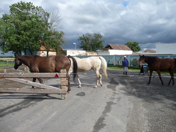 Na kole s br�chou do Hamburgu