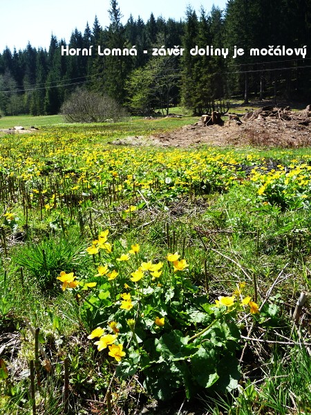 Na kole za kvasnicov�m pivem