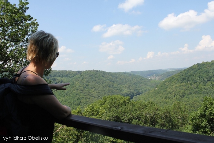 K Ledov�m sluj�m