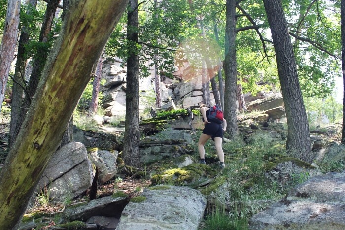 K Ledov�m sluj�m