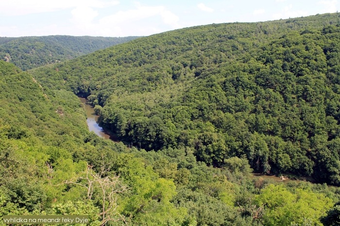 K Ledov�m sluj�m