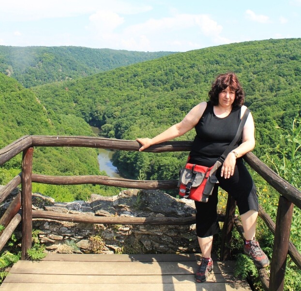 K Ledov�m sluj�m