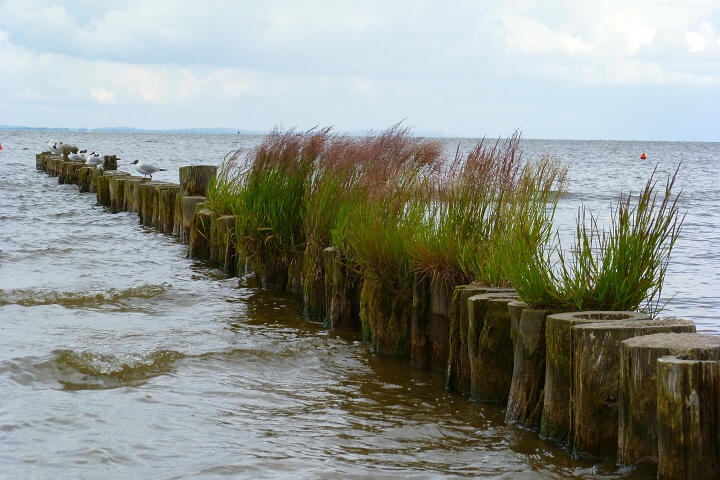 Jak to vid�l Otmar Svr�ek 