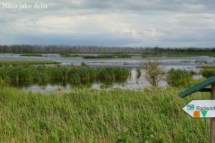 Jak to vid�l Otmar Svr�ek 