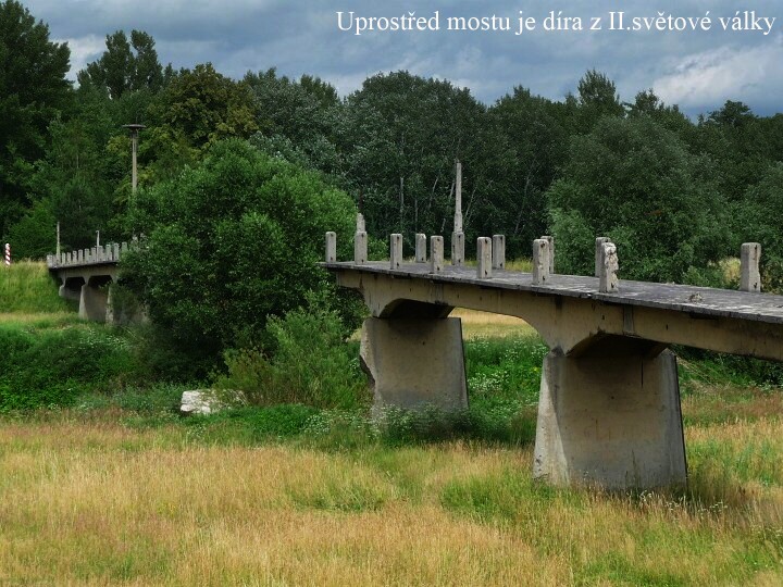 Jak to vid�li Zubkovi