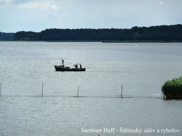 Jak to vid�li Zubkovi