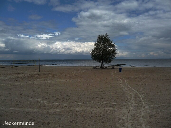 Jak to vid�li Zubkovi