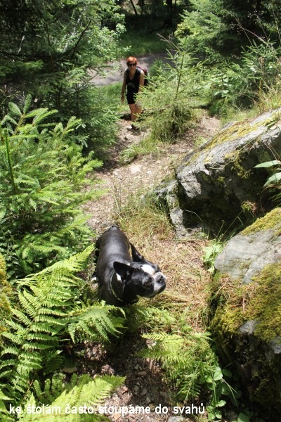 T�i �umavsk� hrady