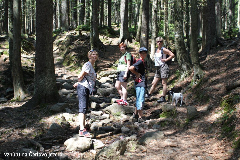 T�i �umavsk� hrady